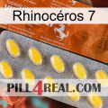 Rhinocéros 7 42